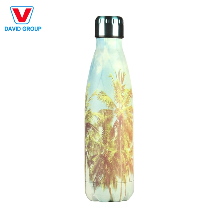 Double Walled Stainless Steel Cola Shape Travel Sports Water Bottle