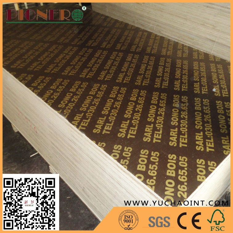 Factory-Directly Sales Film Faced Plywood with Top Quality