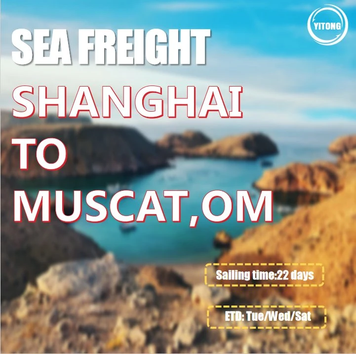 International Shipping by Sea From Shenzhen to Muscat Oman