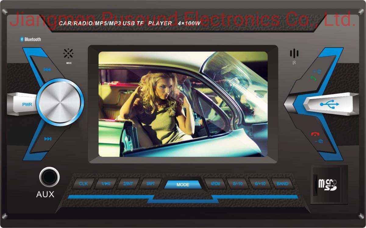 Double DIN Car Audio MP3/MP5/DVD Player