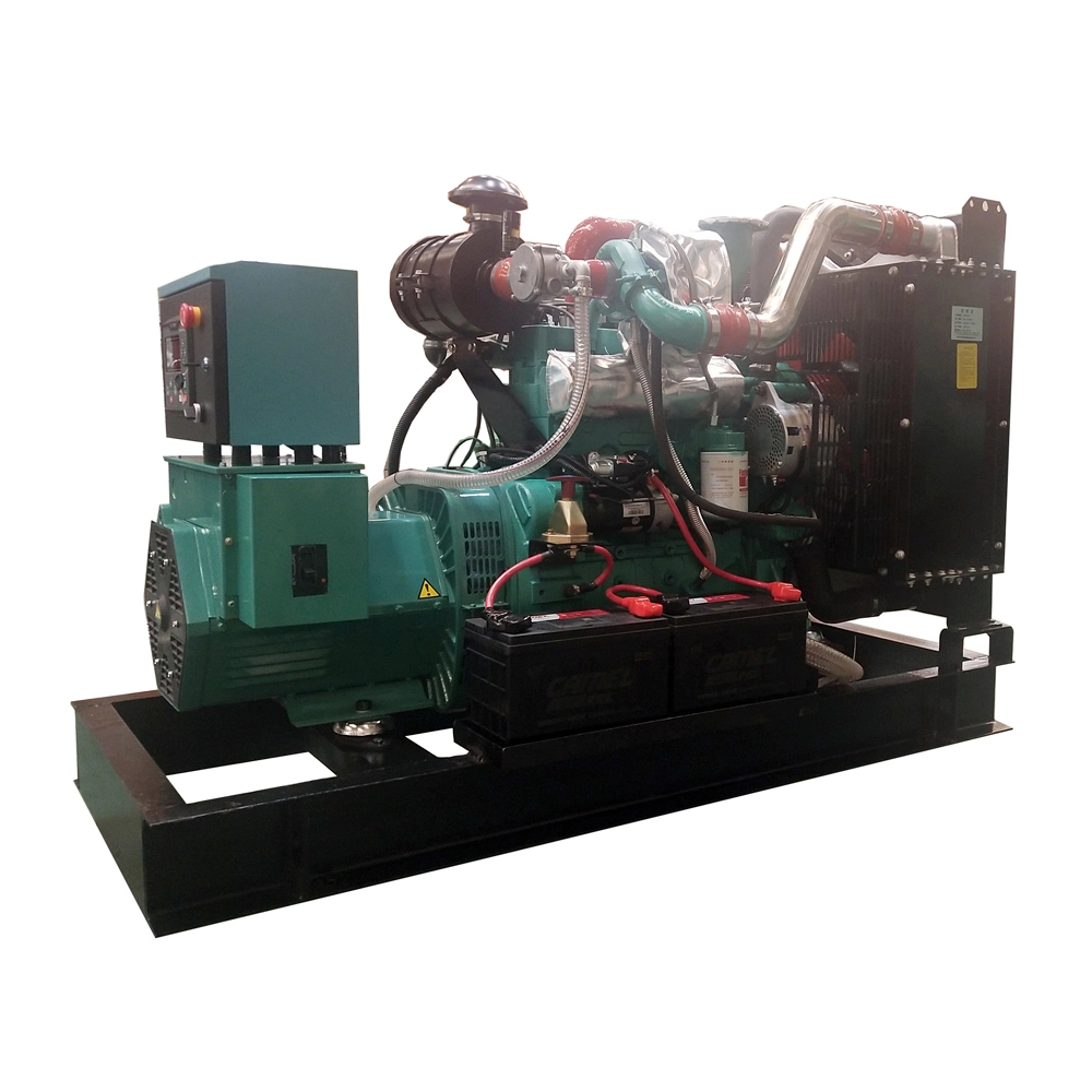 CE & ISO 30kW Biogas Generator Price 30kVA Biomass Methane Power Generator for Canana