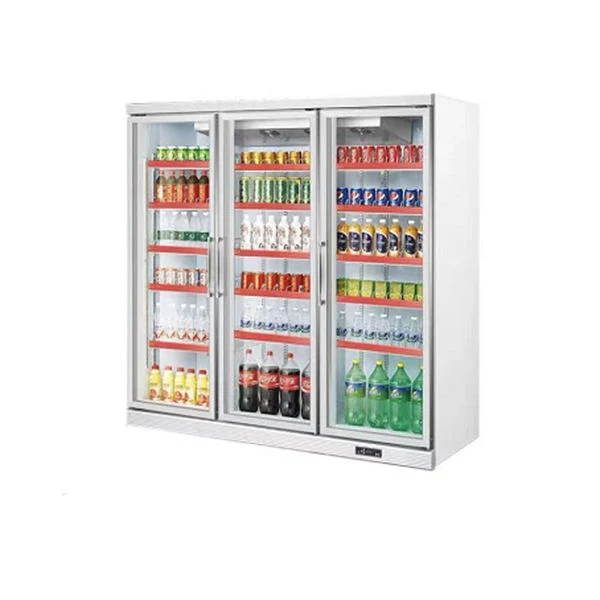 Commercial Glass Door Vertical Ice-Cream Freezer