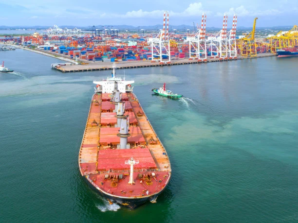 Professional Shipping Freight Agency Sea Shipping China Shanghai/Shenzhen/Ningbo/Qingdao/Tianjin to USA/Canada/Europe/Middle East/Africa Line