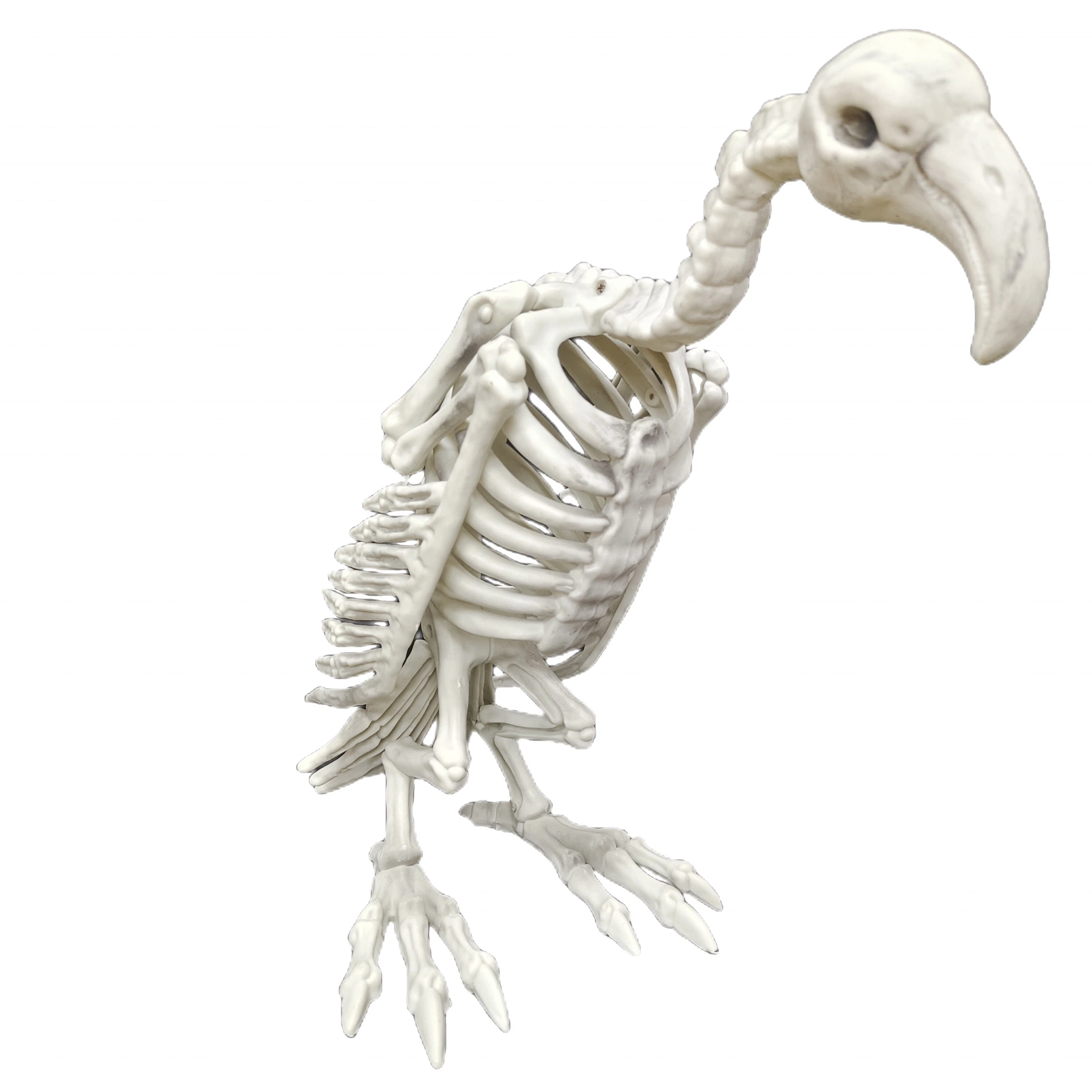 Vautour squelette Animal de moulage par injection squelette Décoration d'Halloween