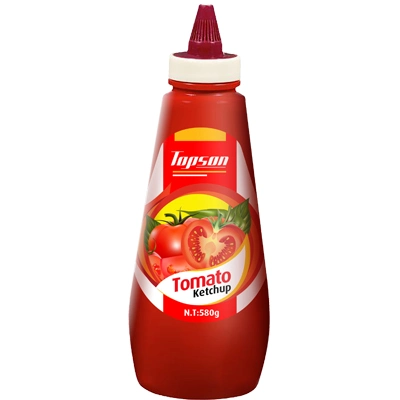Fabrik Lieferant 500g Tomato Ketchup Großhandel/Lieferant mit OEM Marke