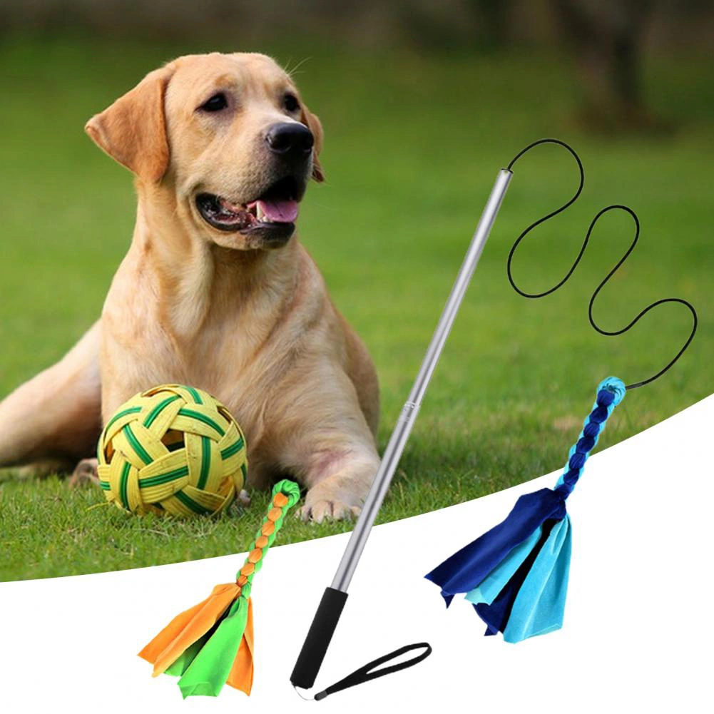 Wholesale Outdoors Extendable Interactive Dog Chewing Flirt Poles