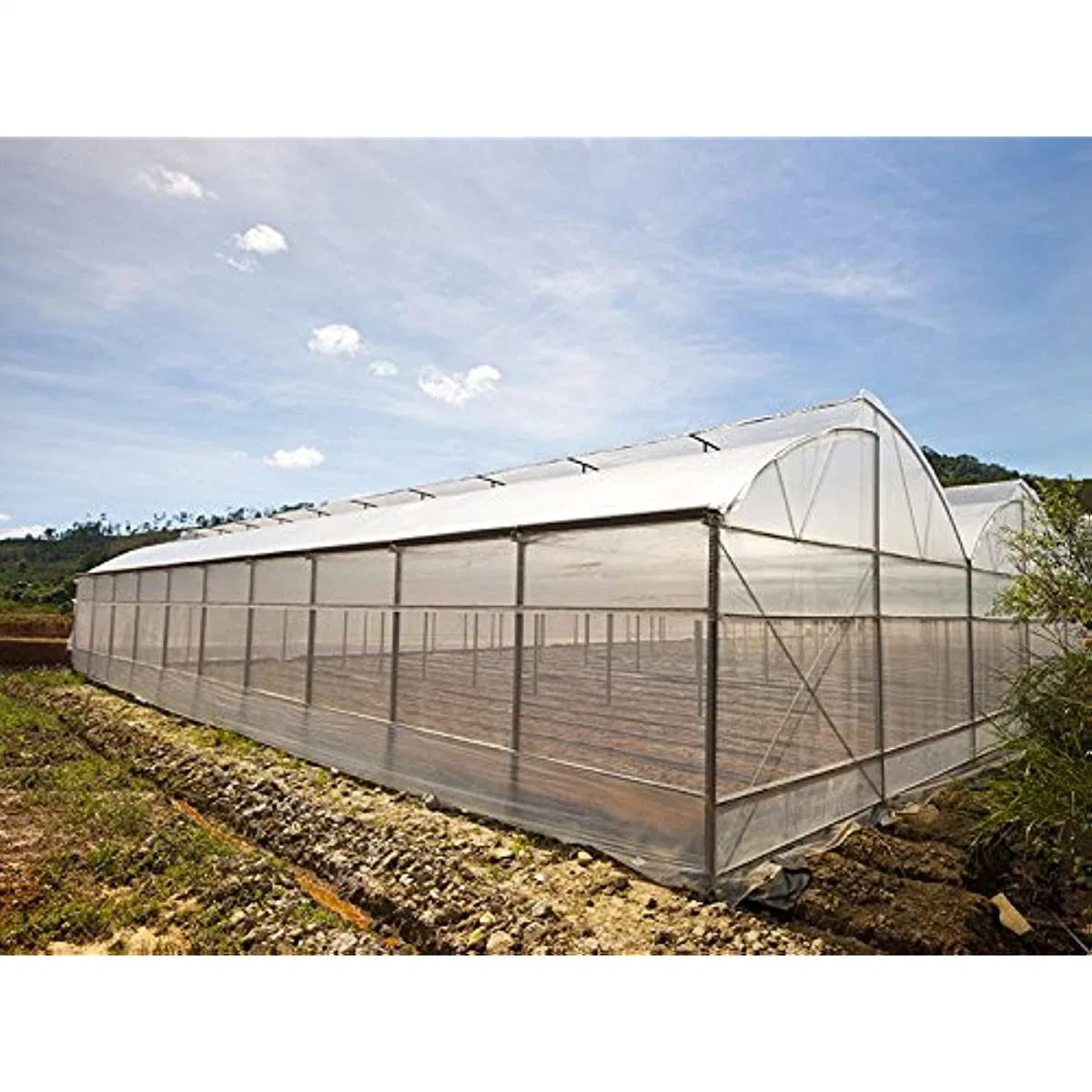 Film Greenhouse Ultraviolet Film Plastic Film Vegetable/Flower/Garden Agricultural Greenhouse Film