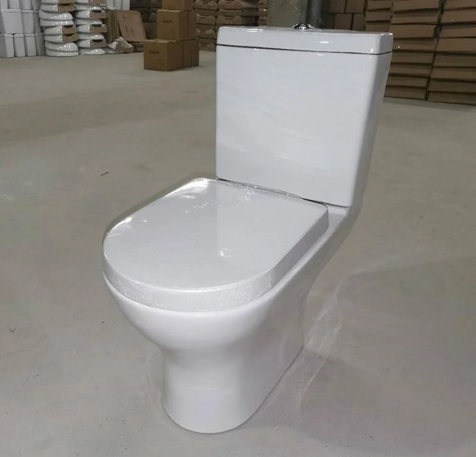 Sairi Floor Mounted Dual-Flush PP Soft Close Cover Ceramic Chinese Sanitary Ware Toilet