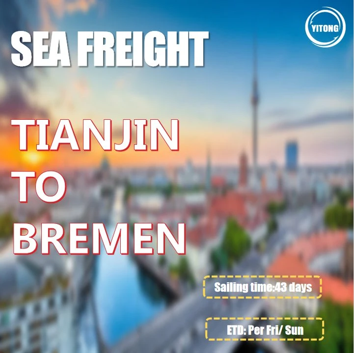 Ningbo Buying Agent Freight Forwarder to Bremen Germany