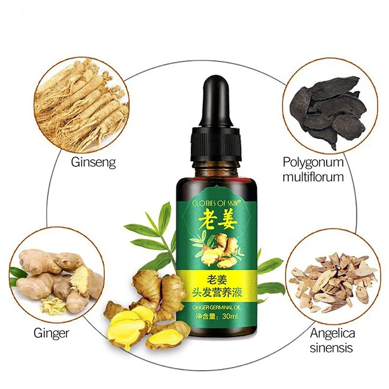 Best Selling Anti Hair Loss Treatment Oil for Hair Care Ginger Essence 30ml