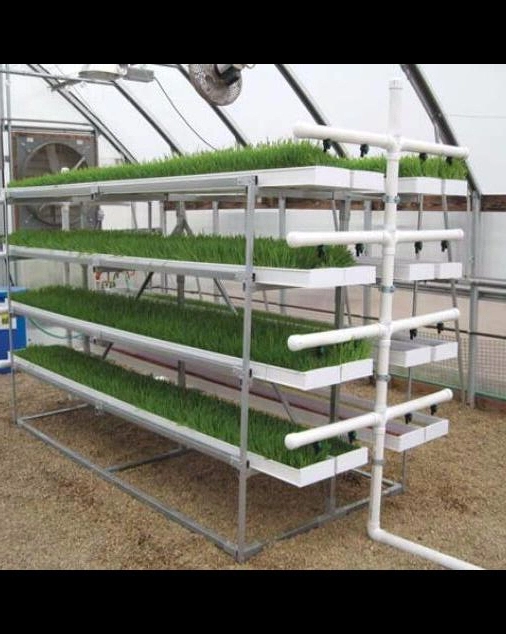 Granja de producción Microgreens hidropónico Nft Vertical de los sistemas de canal de PVC con sistema de reciclaje de fertilizante