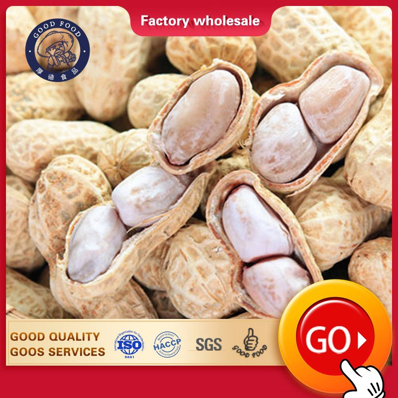 Craftsmanship New Crop Salted Taste Roasted Peanut in Shell Healthy Delicous Salted