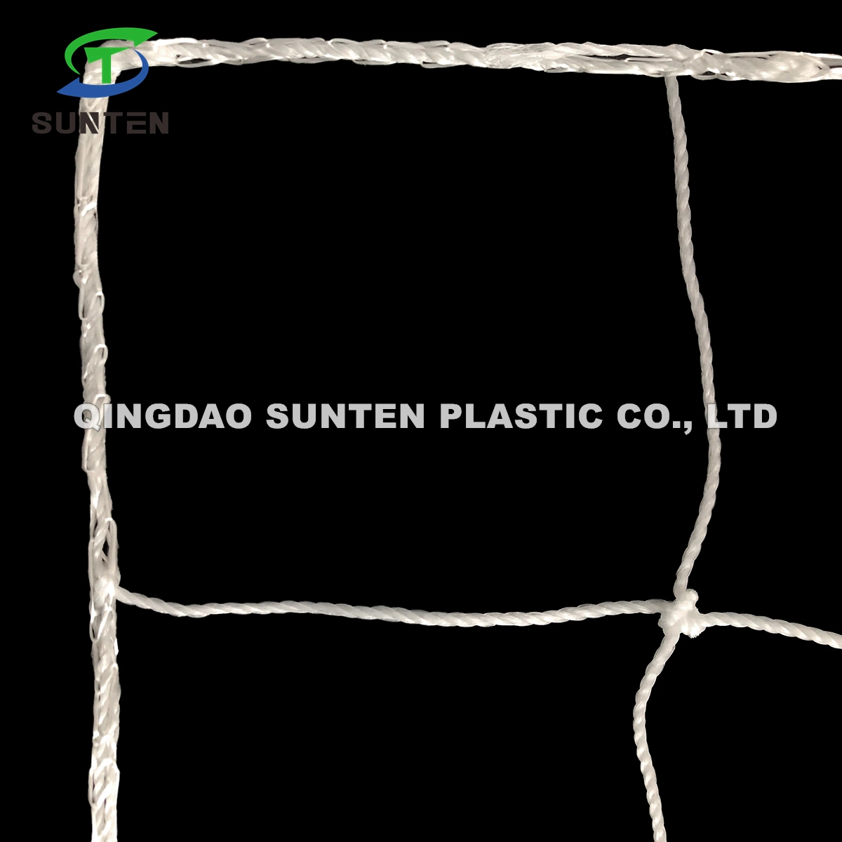 EU Standard Nylon/Polyester/HDPE/PE/Polyethylene/PP Sports/Sport/Braided Rope Type Football Net