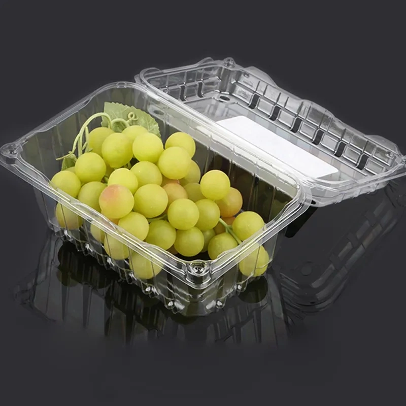 Embalaje de plástico personalizado contenedor de alimentos Caja de almacenamiento transparente para cocina