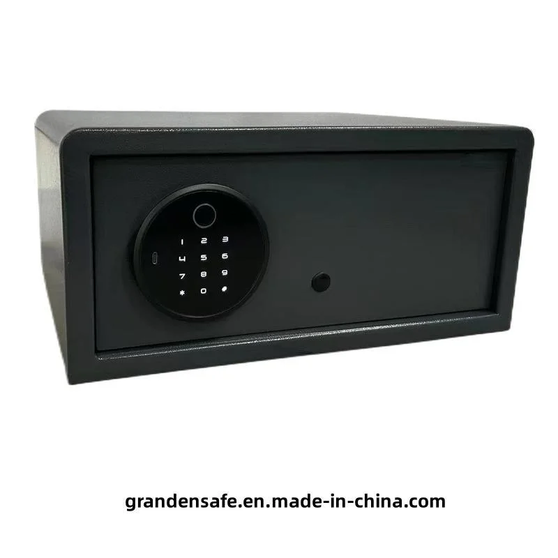 Biometric Fingerprint Safe with Top Rounded Frame (FG-43DG)