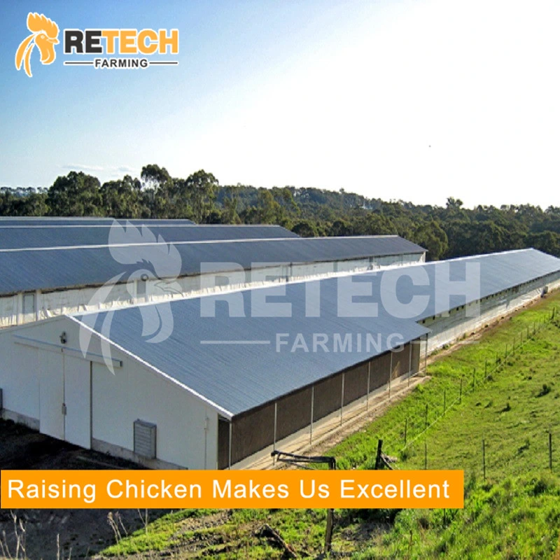 Good design light steel structure chicken farm poultry house in Africa