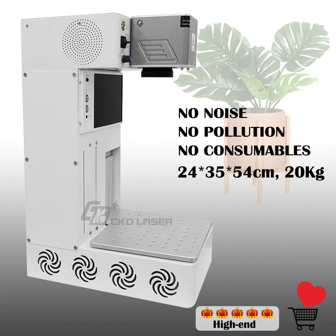 Raycus 20W Auto Focus Cabinet Fiber Laser Marking Machine with Ezcad