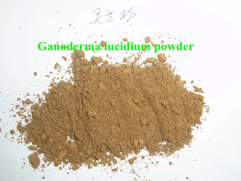 Ganoderma Lucidum Powder; Organic Reishi Powder; USA&EU Organic Certificate;