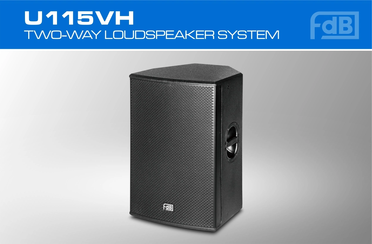 Hot Sale Single 15 Inch Full Range Professional Speaker