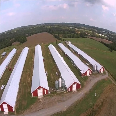 Long Term Use of Low Cost Galvanized Stainless Steel Chicken Farm