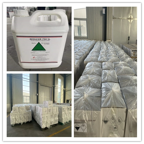 Paddy Field Herbicide Pretilachlor 90% Tc Rice Herbicide Pretilachlor 50 Ec Pretilachlor 300 Ec CAS 51218-49-6