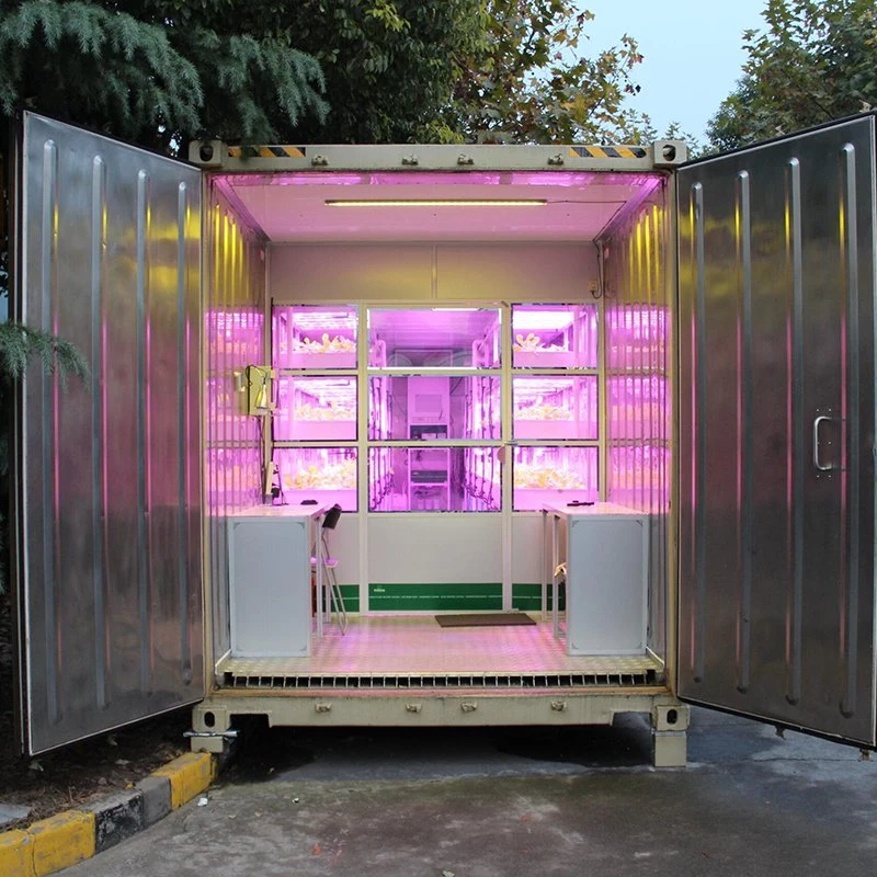 Contenedor móvil pequeño invernadero con el cultivo hidropónico sistema para la cría y alimentación vegetal
