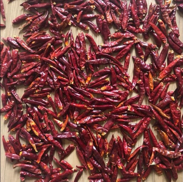 Factory Supply Good Quanlity Dried Yidu Chilli