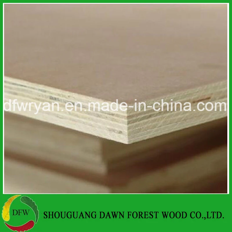 4mm 12mm 16mm 18mm Bintangor/Okoume Veneered Poplar Timber Commercial Plywood