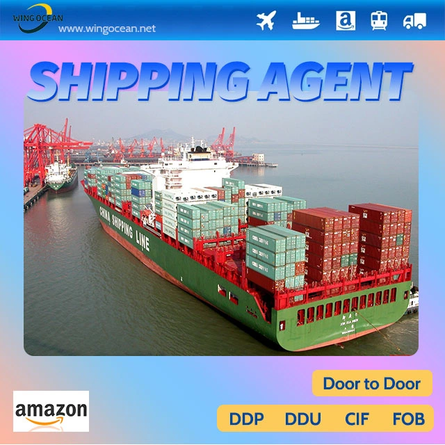 China International Cooperate Logistics Best Supplier Shipping From China to France