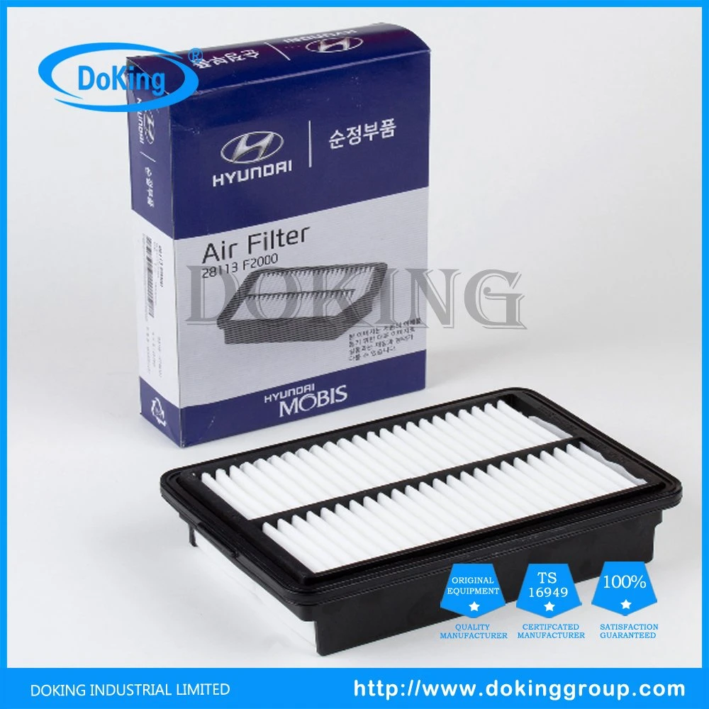 High Performance and Good Price Air Filter 28113-F2000 for Hyundai