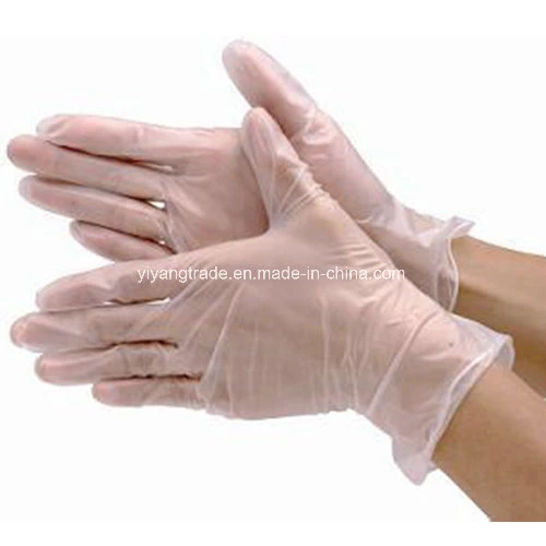 Factory for Disposable PVC Gloves for Food and Dental and Electronics