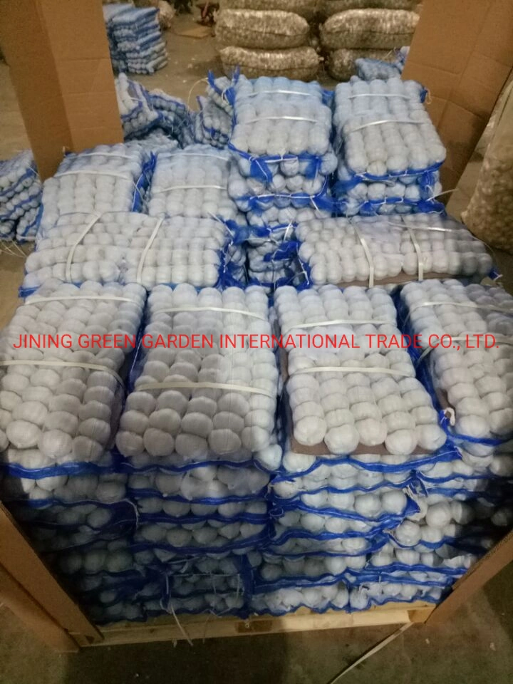 Chinese Fresh Garlic,China Origin Fresh Garlic,Normal White,Snow White,Pure White,Red,Purple Strips and etc Garlic Bulb,2020crop &2021 Cheap Price,Top Quality