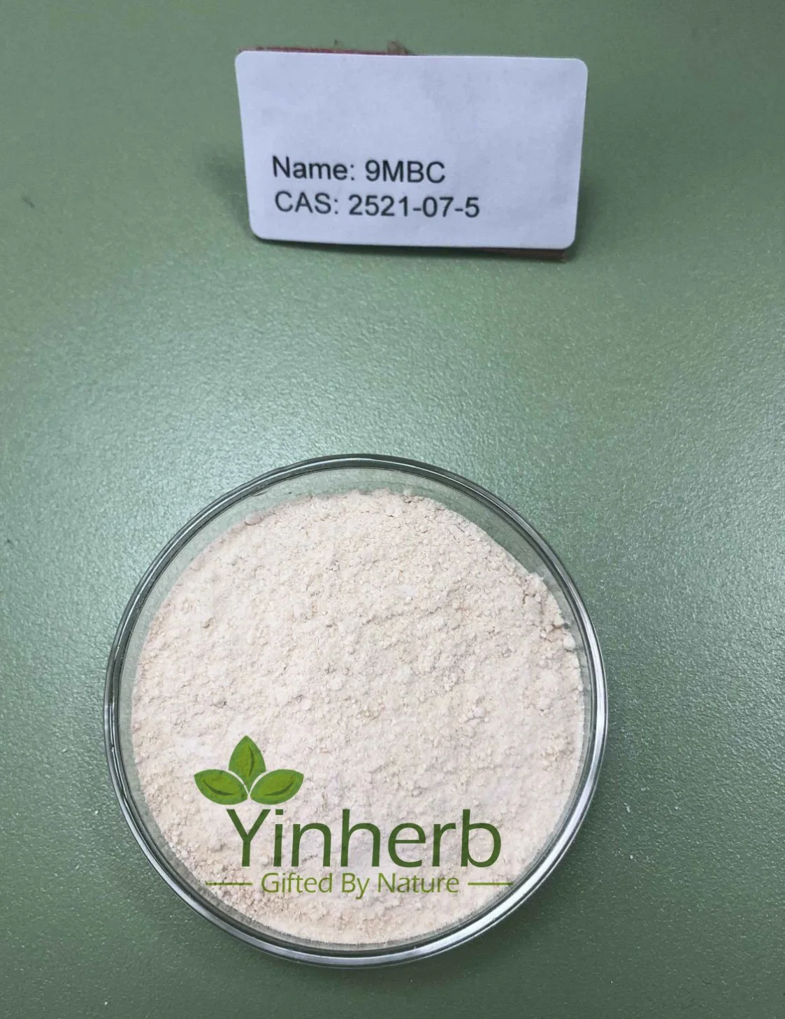 جودة العرض 9-ميثيل-9h-بيتا-كاربولين CAS 2521-07-5 9-Me-BC Powder Nootropics