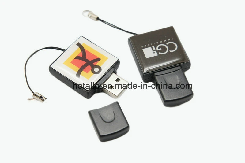 Paster Promotional USB Flash Drive USB Memory with Doming Logo