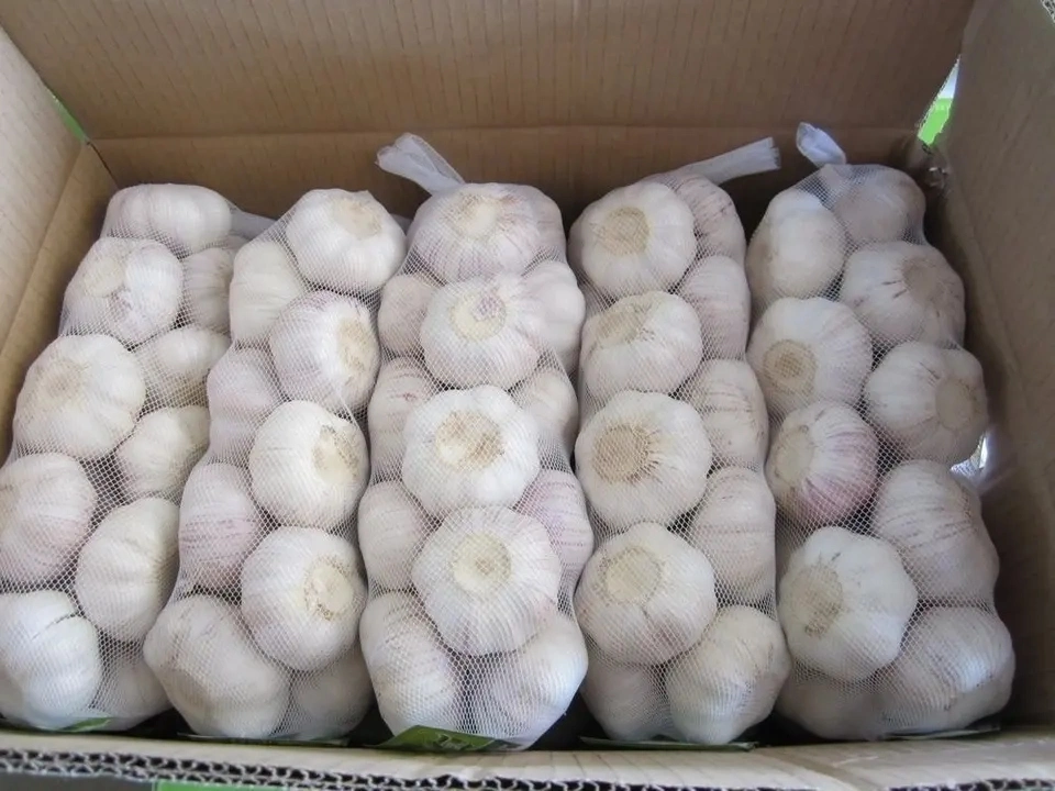 2023 New Crop Garlic with High quality/High cost performance 