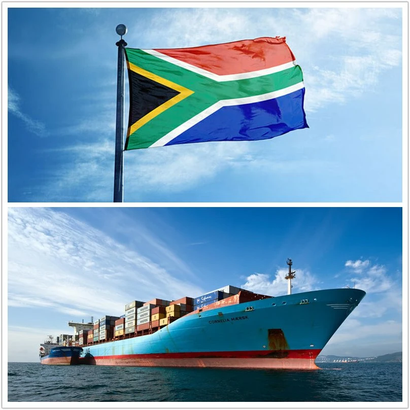 Air/Sea Freight FCL/LCL Shipping Agent From China to South Africa with Customs Clearance