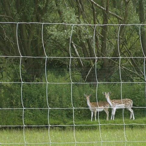 Galvanized Wire Grassland Fence for Protecting Grassland