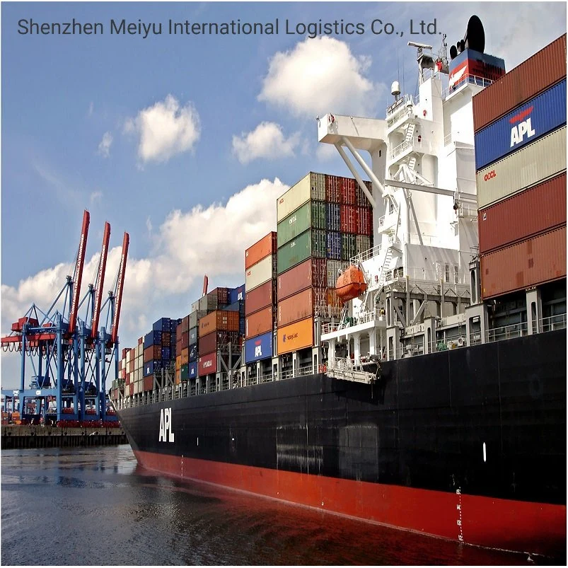 China Top 10 Sea Freight Forwarders to USA/Canada/European