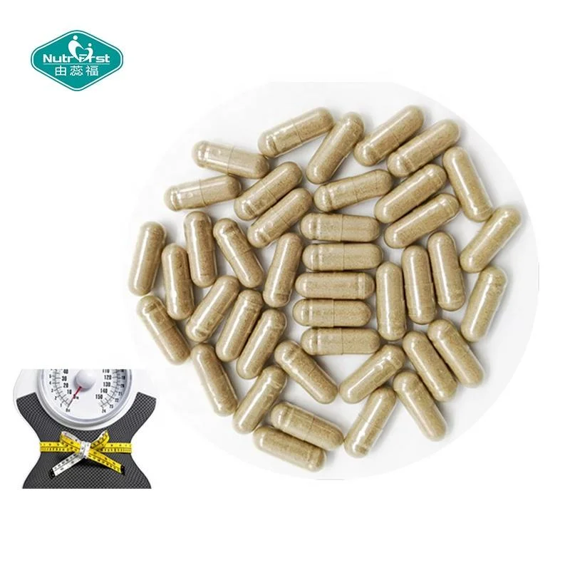 OEM Slimming Products African Mango Green Tea Extract perte de poids Capsules pour supplément de brûleur à graisse