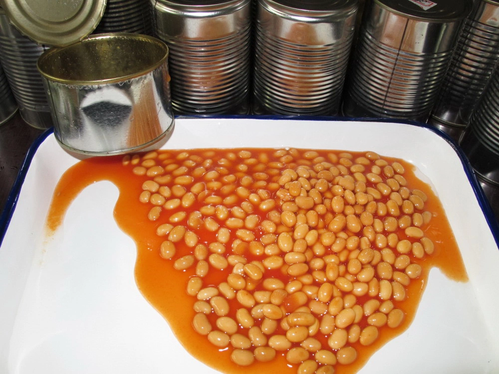 Best Canned Food Canned Baked Beans 425g in High quality/High cost performance 