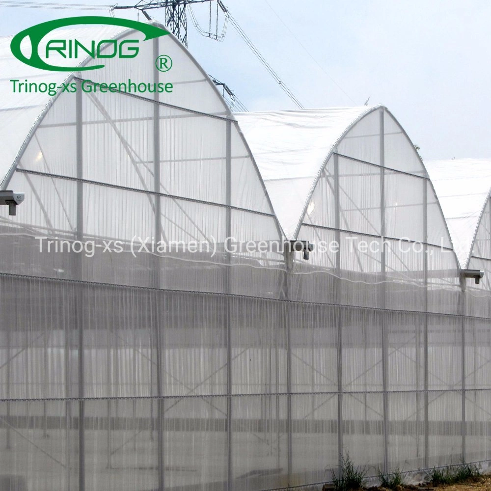 Trinog agricultural roof vent hook hanging tomato hydroponics growing green house for farm