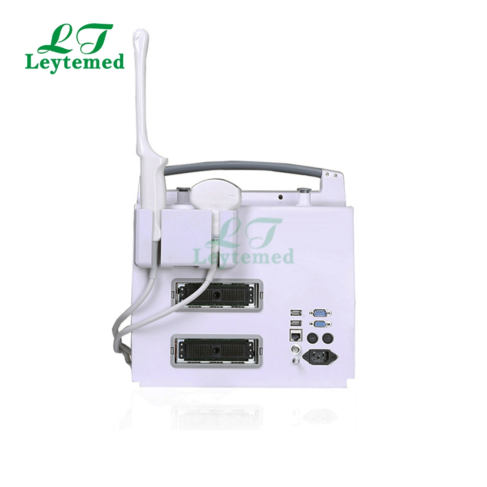 Ltub04 Digital Portable 3D Color Doppler Ultrasound Machine for Medical