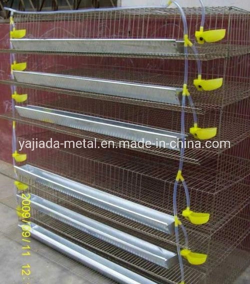 Easy Assembled Quail Cage Factory