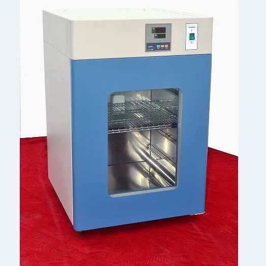 Laboratoire verticale de température constante électrothermique incubateur pour laboratoire