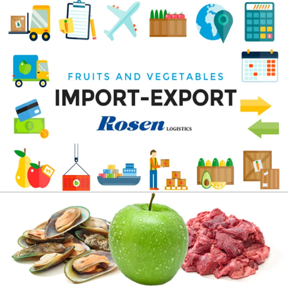 Reefer Container Sea Shipping Wholesale/Supplier Bulk Importer Premium Bananas Grape Ecuador