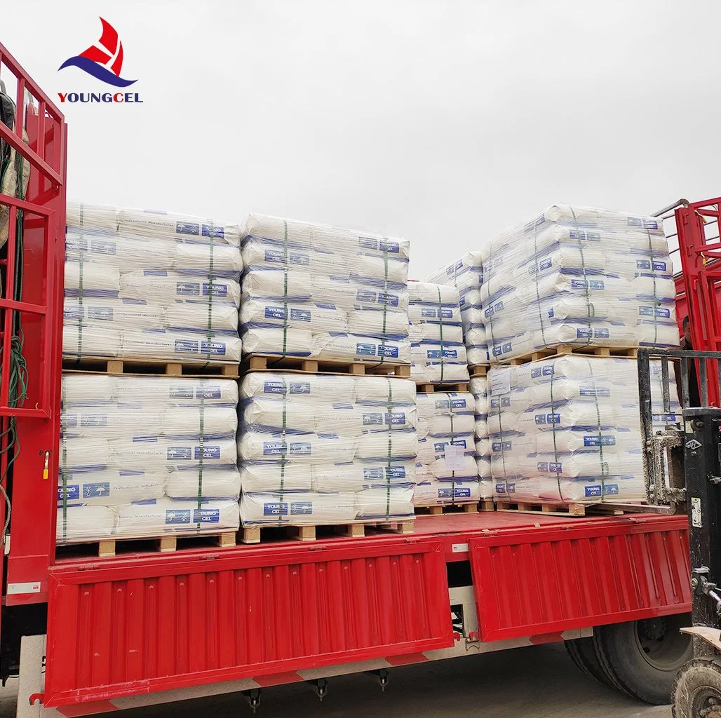 Manufacturer Price Industri Grade Construction 200000 Detergent Tile Adhesive Hydroxypropyl Methyl Cellulose Chemic Powder HPMC