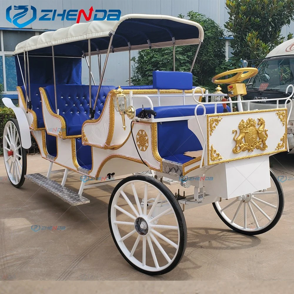 Sightseeing Tourist with Canopy High quality/High cost performance  Horse Carriage