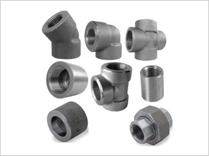 as Customized Carbon Steel /Stainless Steel A105 Forged Steel Pipe Fitting