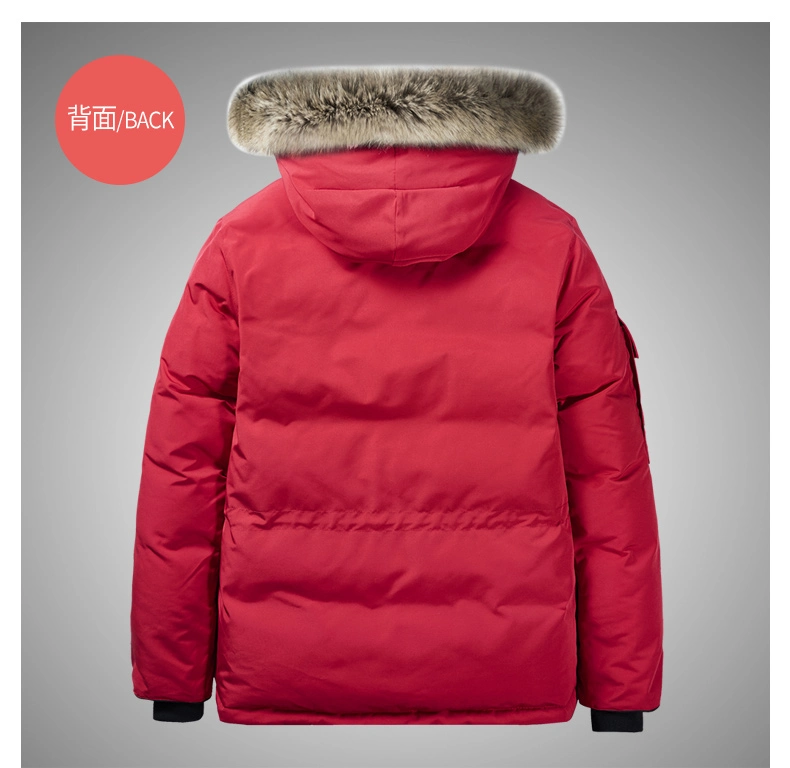 Wholesale/Supplier Men&prime; S Plus Size Goose Outdoor Winter Jackets Down Jacket OEM