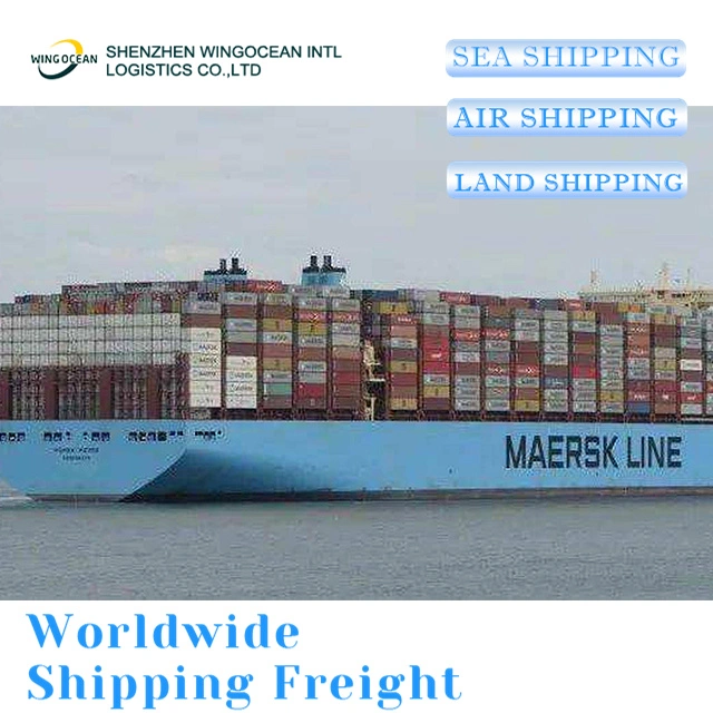 Excellent Professional Air Ocean Freight Forwarder Shipping From Shenzhen to Mexico/ Australia